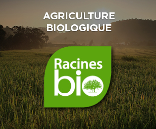 rubriques_site_web_bio