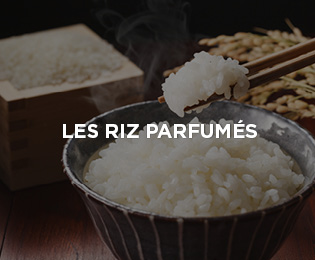 rubriques_site_web_rizparfume